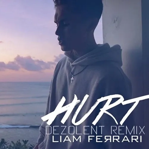 Hurt (Dezolent Remix) Cover Art
