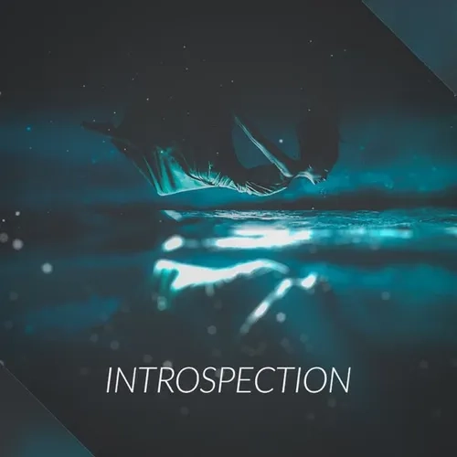 Introspection (feat. Rapzor) Cover Art